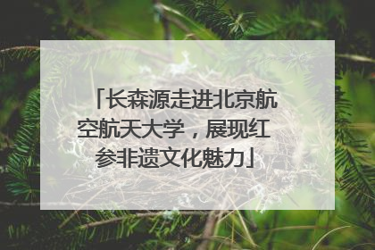 长森源走进北京航空航天大学，展现红参非遗文化魅力