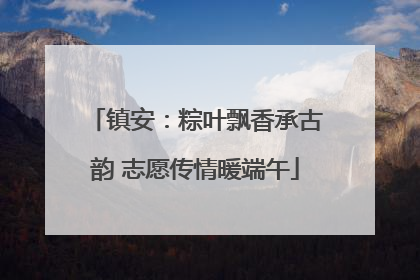 镇安：粽叶飘香承古韵 志愿传情暖端午