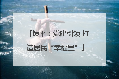 镇平：党建引领 打造居民“幸福里”