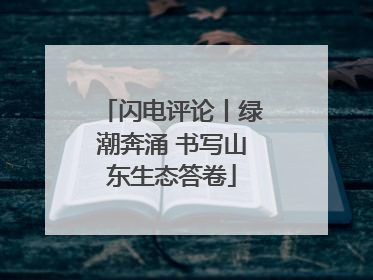 闪电评论丨绿潮奔涌 书写山东生态答卷