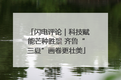 闪电评论｜科技赋能芒种胜景 齐鲁“三夏”画卷更壮美