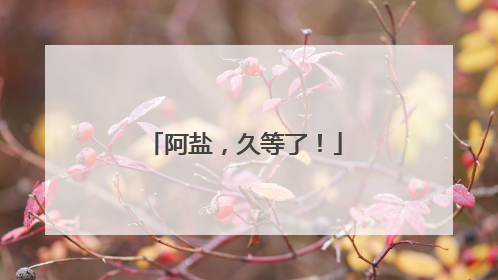 阿盐，久等了！