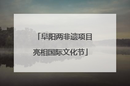阜阳两非遗项目亮相国际文化节