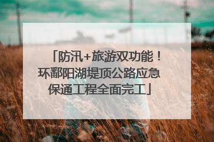 防汛+旅游双功能！环鄱阳湖堤顶公路应急保通工程全面完工