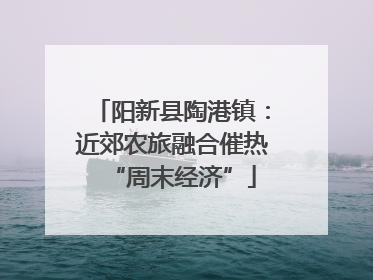 阳新县陶港镇：近郊农旅融合催热“周末经济”