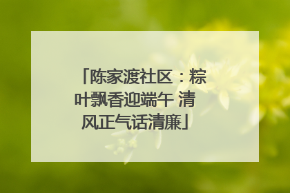 陈家渡社区：粽叶飘香迎端午 清风正气话清廉