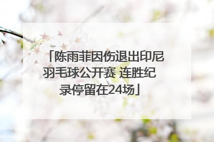 陈雨菲因伤退出印尼羽毛球公开赛 连胜纪录停留在24场