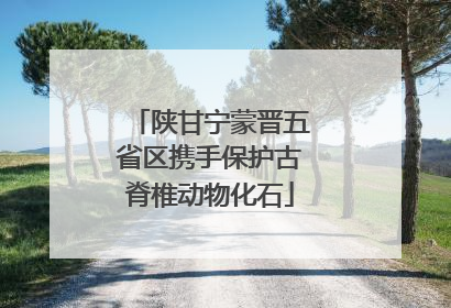 陕甘宁蒙晋五省区携手保护古脊椎动物化石