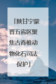陕甘宁蒙晋五省区聚焦古脊椎动物化石司法保护