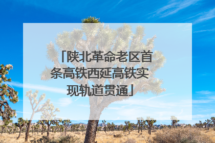 陕北革命老区首条高铁西延高铁实现轨道贯通