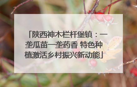 陕西神木栏杆堡镇：一垄瓜苗一垄药香 特色种植激活乡村振兴新动能