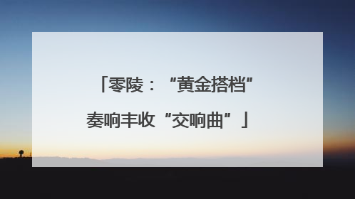 零陵：“黄金搭档”奏响丰收“交响曲”