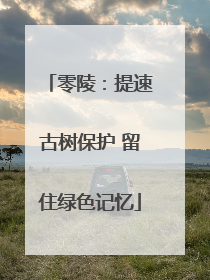 零陵：提速古树保护 留住绿色记忆