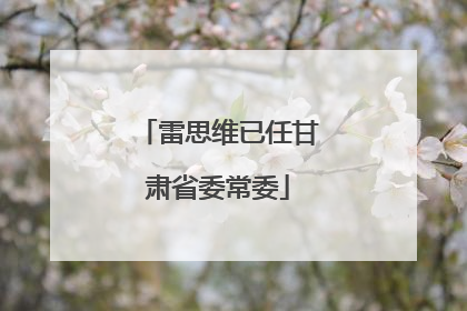 雷思维已任甘肃省委常委