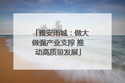 雅安雨城：做大做强产业支撑 推动高质量发展