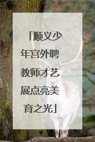 顺义少年宫外聘教师才艺展点亮美育之光