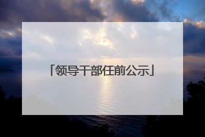 领导干部任前公示