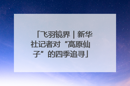 飞羽镜界｜新华社记者对“高原仙子”的四季追寻