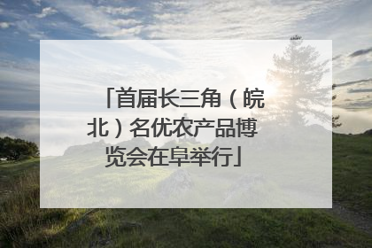 首届长三角（皖北）名优农产品博览会在阜举行