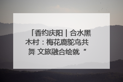 香约庆阳｜合水黑木村：梅花鹿鸵鸟共舞 文旅融合绘就“诗与远方”
