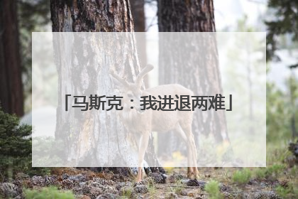 马斯克：我进退两难