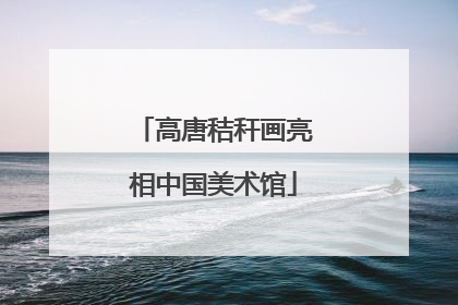 高唐秸秆画亮相中国美术馆