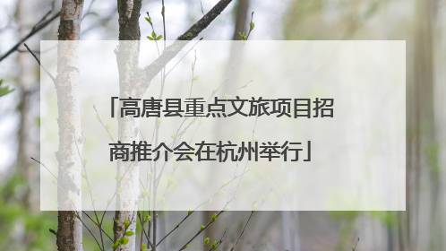 高唐县重点文旅项目招商推介会在杭州举行