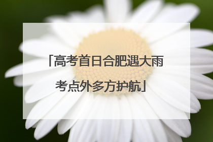 高考首日合肥遇大雨 考点外多方护航