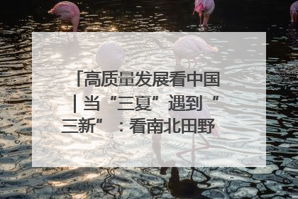 高质量发展看中国｜当“三夏”遇到“三新”：看南北田野里的科技共生记