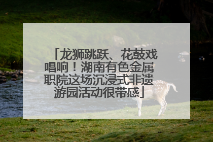 龙狮跳跃、花鼓戏唱响！湖南有色金属职院这场沉浸式非遗游园活动很带感