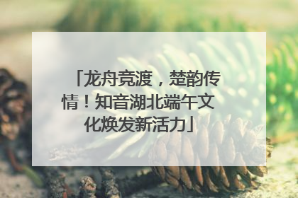 龙舟竞渡，楚韵传情！知音湖北端午文化焕发新活力