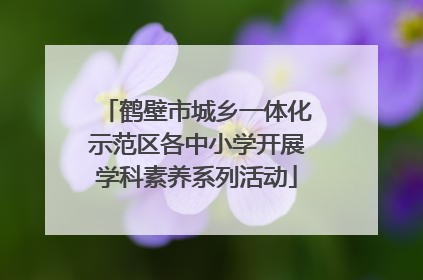 鹤壁市城乡一体化示范区各中小学开展学科素养系列活动
