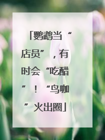 鹦鹉当“店员”，有时会“吃醋”！“鸟咖”火出圈