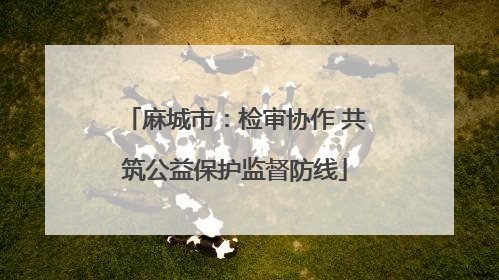 麻城市：检审协作 共筑公益保护监督防线