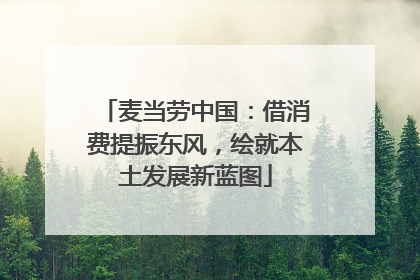 麦当劳中国：借消费提振东风，绘就本土发展新蓝图