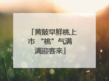 黄陂早鲜桃上市 “桃”气满满迎客来
