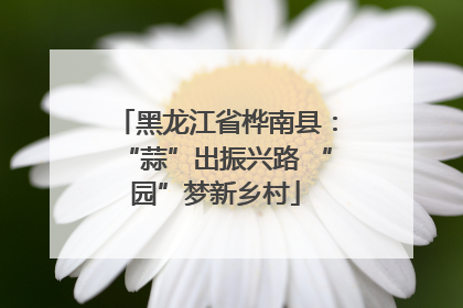 黑龙江省桦南县：“蒜”出振兴路 “园”梦新乡村