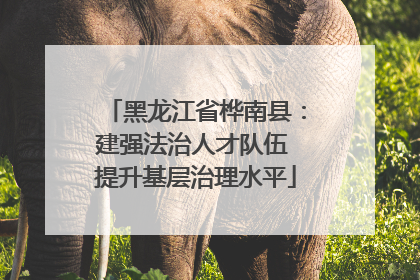黑龙江省桦南县：建强法治人才队伍 提升基层治理水平