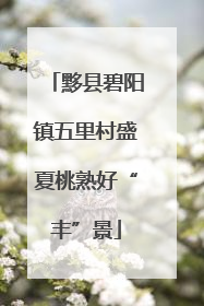 黟县碧阳镇五里村盛夏桃熟好“丰”景