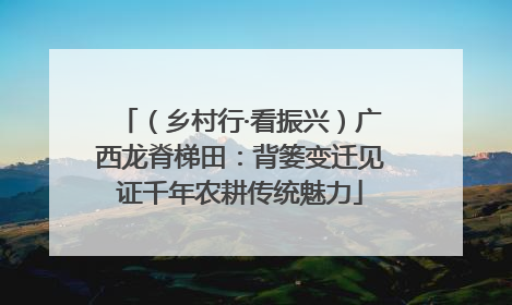 （乡村行·看振兴）广西龙脊梯田：背篓变迁见证千年农耕传统魅力
