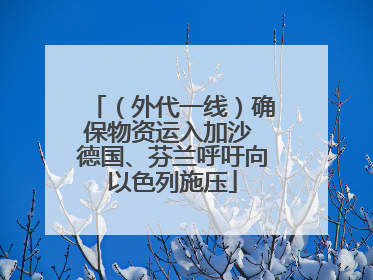 （外代一线）确保物资运入加沙 德国、芬兰呼吁向以色列施压