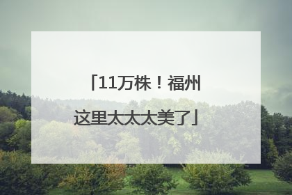 11万株！福州这里太太太美了