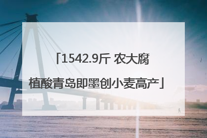 1542.9斤 农大腐植酸青岛即墨创小麦高产