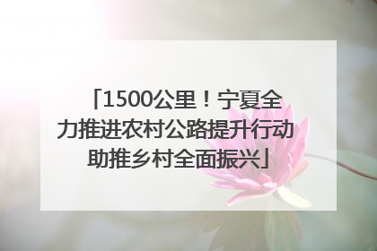 1500公里！宁夏全力推进农村公路提升行动 助推乡村全面振兴