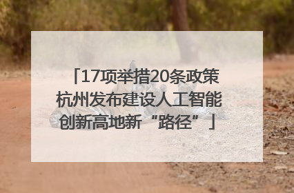 17项举措20条政策 杭州发布建设人工智能创新高地新“路径”