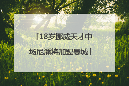 18岁挪威天才中场尼潘将加盟曼城