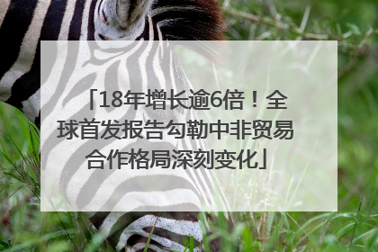 18年增长逾6倍！全球首发报告勾勒中非贸易合作格局深刻变化