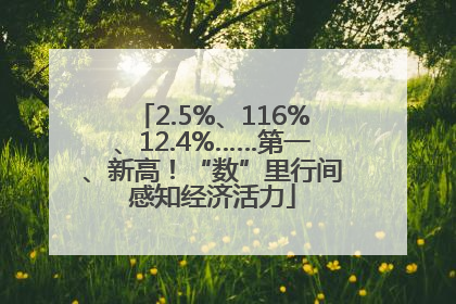 2.5%、116%、12.4%……第一、新高！“数”里行间感知经济活力