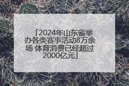 2024年山东省举办各类赛事活动8万余场 体育消费已经超过2000亿元