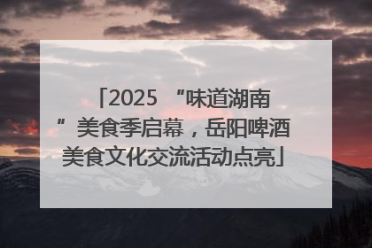 2025 “味道湖南”美食季启幕，岳阳啤酒美食文化交流活动点亮